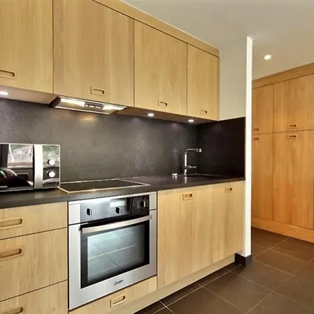 Renove Avec Terrasse Et Acces Direct Aux Pistes - Fr-1-455-43 Appartamento La Plagne